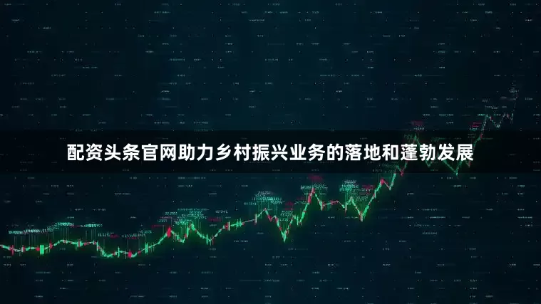 配资头条官网助力乡村振兴业务的落地和蓬勃发展