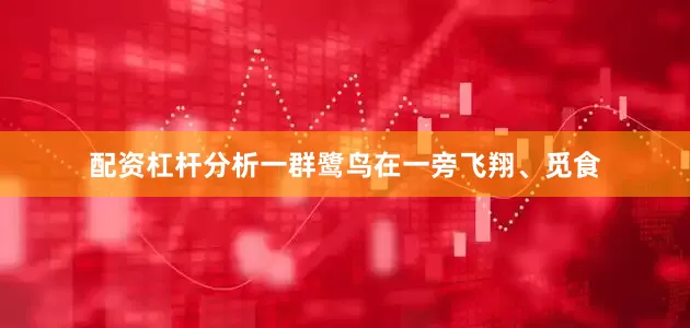 配资杠杆分析一群鹭鸟在一旁飞翔、觅食