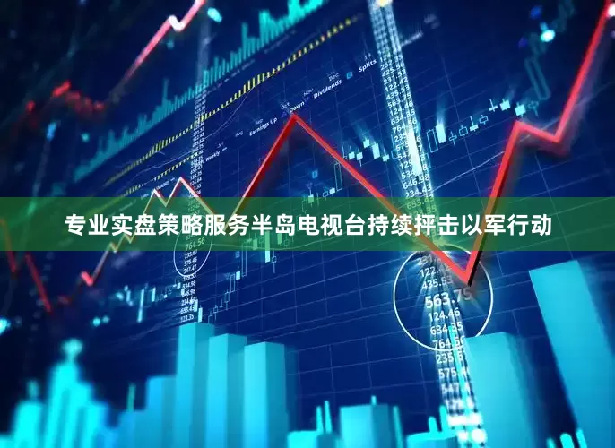 专业实盘策略服务半岛电视台持续抨击以军行动